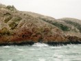 /album/islas-ballestas/p1050460-jpg/