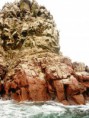 /album/islas-ballestas/p1050621-jpg/