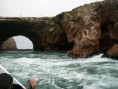 /album/islas-ballestas/a100-6773-jpg/