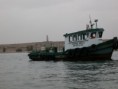/album/bahia-paracas/a100-6746-jpg/